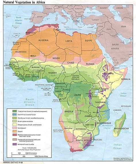 Africa Natural Vegetation 1986   Full size