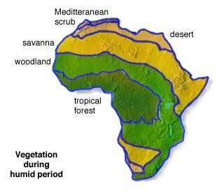 Africa   Online Vegetation and Plant Distribution Maps ...