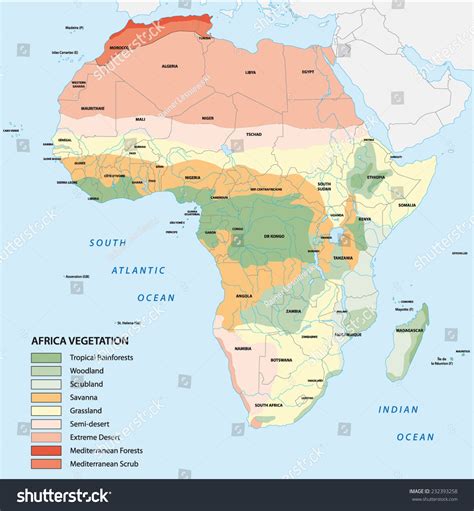 Africa Vegetation Map Stock Vector Illustration 232393258 ...