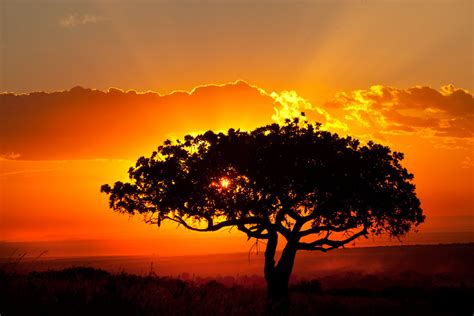 African Sunset | Wildography & Safaris
