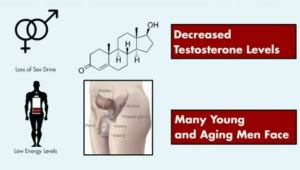 Ageless Male Review A Natural Free Testosterone Booster ...