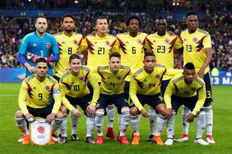 Agenda de la Selección Colombia hasta el Mundial de Rusia ...