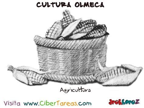 Agricultura – Cultura Olmeca | CiberTareas