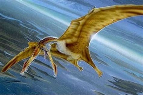 Ahora resulta que los pterodáctilos no podían volar, según ...