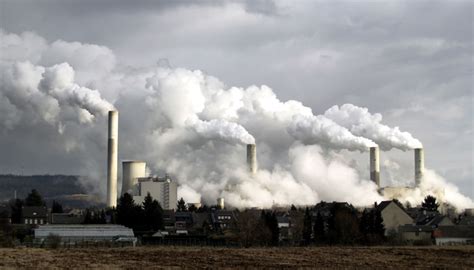 Air pollution harming brains of urban young | Science ...