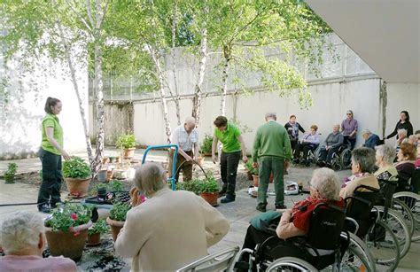 AKI Durango dona plantas para la Residencia de ancianos ...