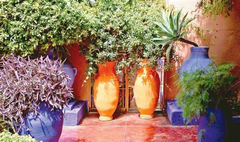 Alan Titchmarsh on growing Mediterranean plants in your ...