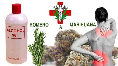 Alcohol de Marihuana y Romero   I Wanna Grow Shop Blog