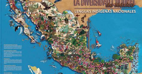 Aldea de las Letras: La diversidad cultural de México ...