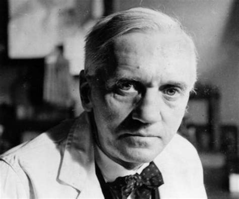 Alexander Fleming Biography   Childhood, Life Achievements ...