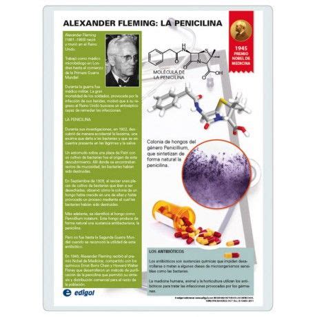 Alexander Fleming: La Penicilina Lámina dedicada a la ...