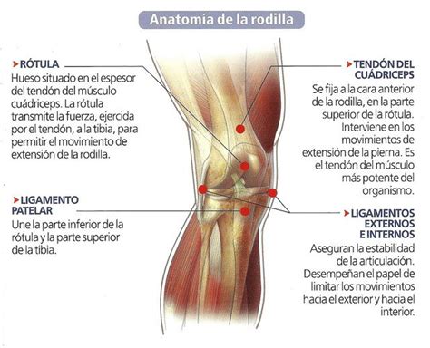 Algunos consejos en casos de inflamación de rodilla | Blog ...