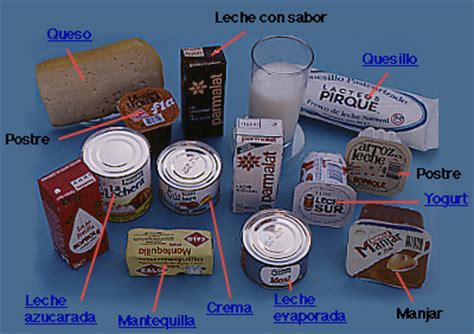 Algunos de los subproductos obtenidos a partir de la leche.