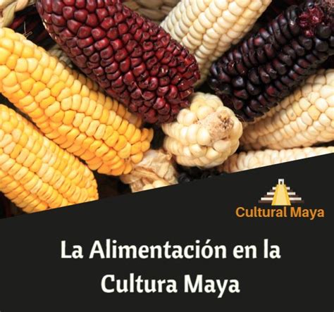 Alimentación de los Mayas: Resumen de Alimentos ...