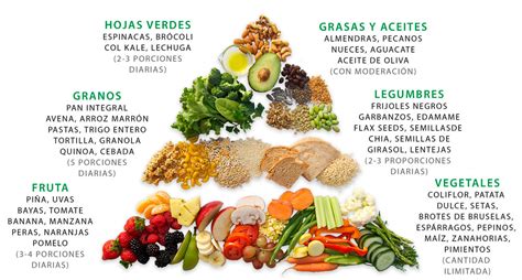 Alimentación Vegana   Qué Alimentos comer y Cómo | Cultura ...