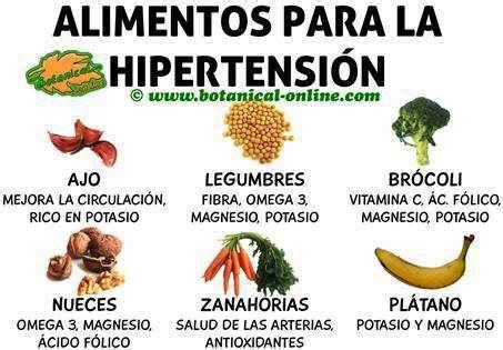 alimentos en la dieta para la hipertensión | My Healthy ...