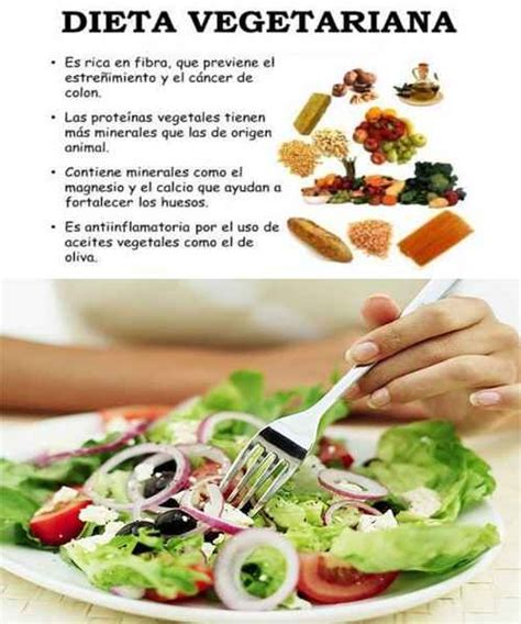 Alimentos para vegetarianos   Alimentos para.com