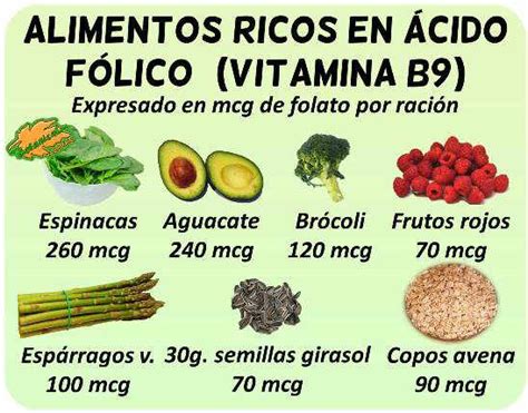 Alimentos ricos en ácido fólico