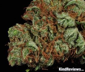 all buds list of the 10 strongest strains of 2017
