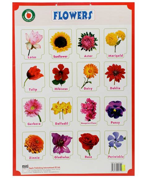 All Types Of Flowers With Pictures And Names ...