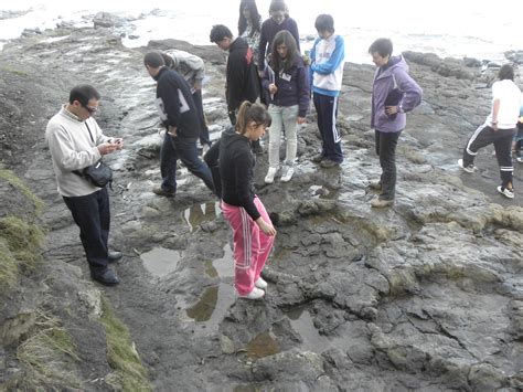 Alumnos observan las huellas de dinosaurios en Asturias.