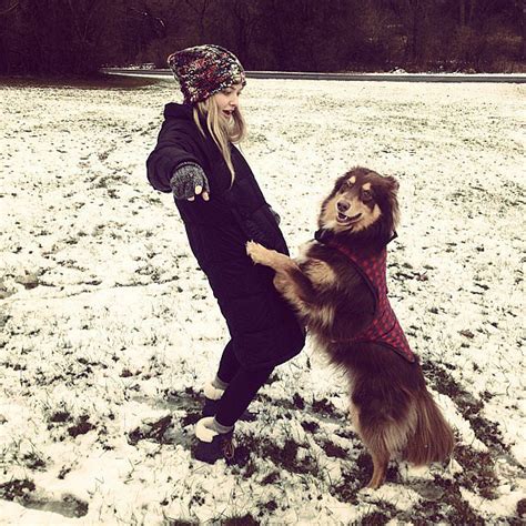 Amanda Seyfried and Her Dog Finn s Instagram Pictures ...