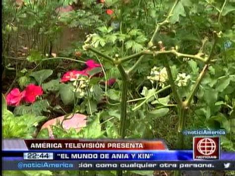 América Noticias: América Televisión te presenta  El Mundo ...