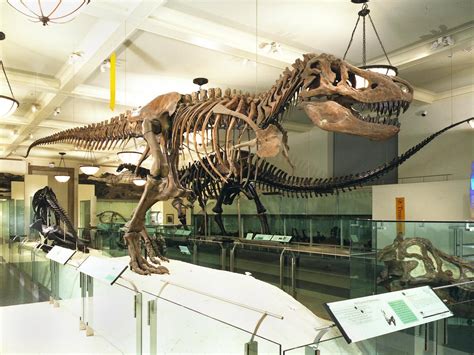America s Best Dinosaur Exhibits : TravelChannel.com ...