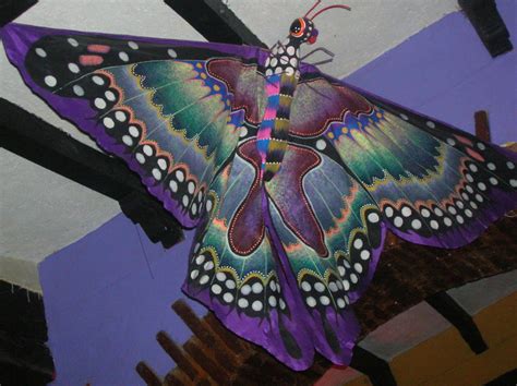Amor & Psique: De mariposas gigantes, iguanas verdes, Maps ...