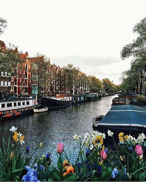 Amsterdam | Holanda | lugares que deseo visitar ...