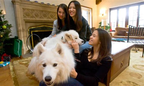 Amy Chua:  I m going to take all your stuffed animals and ...