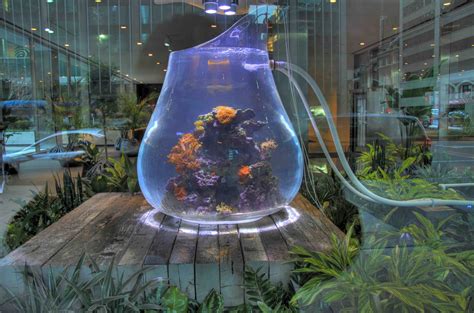 An Amazing Art Installation – The Aquarium Called “Land ...