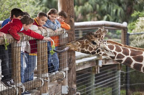 An Inclusive Environment Zoo Wide!   Autism Books
