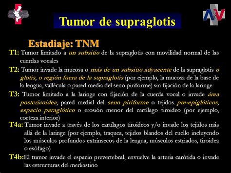 Anatomía y estadiaje de los tumores de laringe e ...