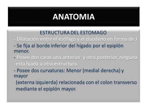 ANATOMIA Y FISIOLOGIA DEL ESTOMAGO.   ppt descargar