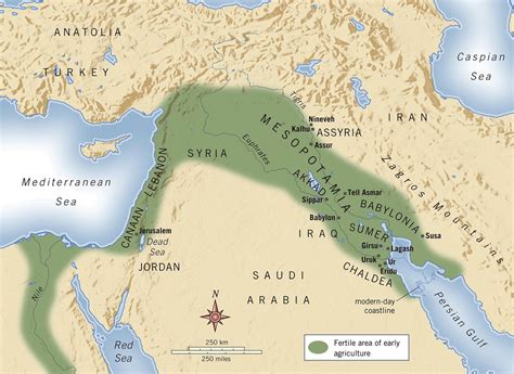 ancient mesopotamia  the land between the rivers   SBMS ...
