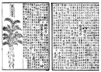 Anexo:Inventos chinos   Wikipedia, la enciclopedia libre