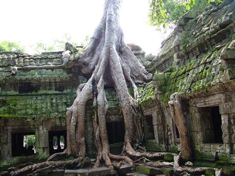 Angkor Wat   O maior templo religioso do mundo | Gigantes ...