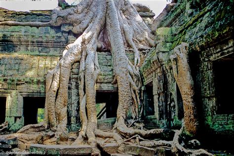 Angkor Wat | RoixCroiX