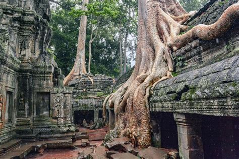 Angkor Wat | Temples of Angkor in Cambodia with Kids