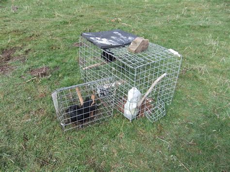Animal and Bird Traps in our Countryside | James Carron