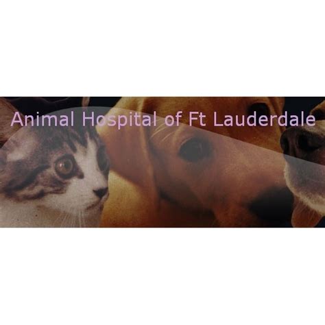 Animal Hospital Of Fort Lauderdale Coupons near me in ...