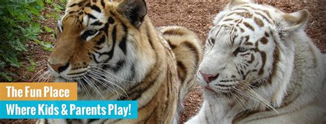 Animal Parks Near Me | Find Your Local Service