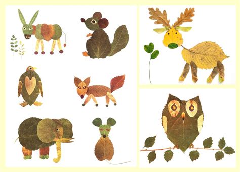 Animales del bosque para niños   Imagui