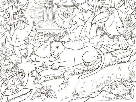 Animales del bosque selva libro para colorear de dibujos ...