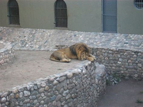 animales: fotografía de Zoo de Córdoba, Córdoba   TripAdvisor