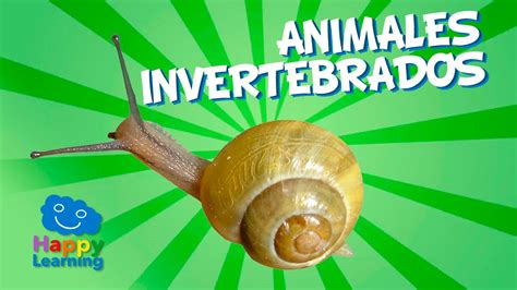 Animales Invertebrados | Videos Educativos para Niños ...