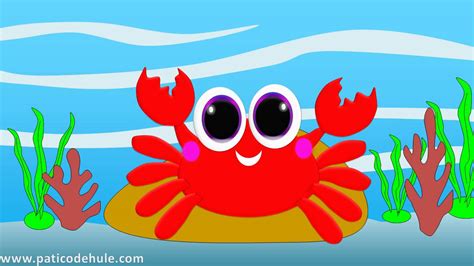 Animales marinos para niños: El Cangrejo   Cangrejo para ...