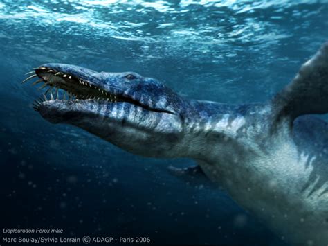 animales marinos prehistoricos