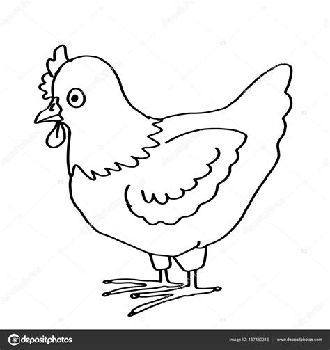 Animales para colorear pollo — Fotos de Stock ...